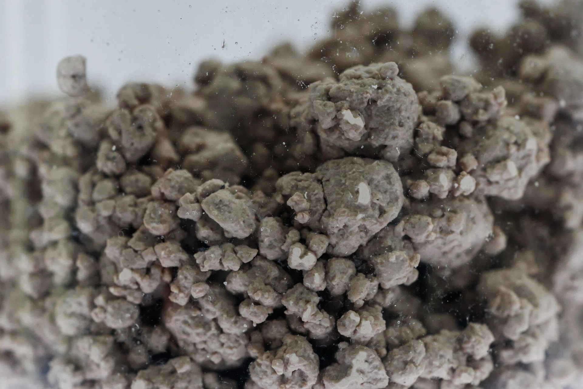 Japan union chief says China rare earth curbs hitting wage talks