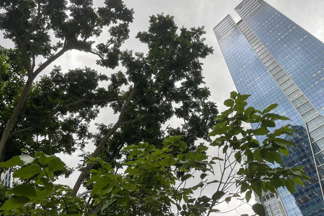 Singapore can leverage its deep network of investors – including pro-impact investing family offices – and emerging technology capabilities to contribute to regional impact investing.