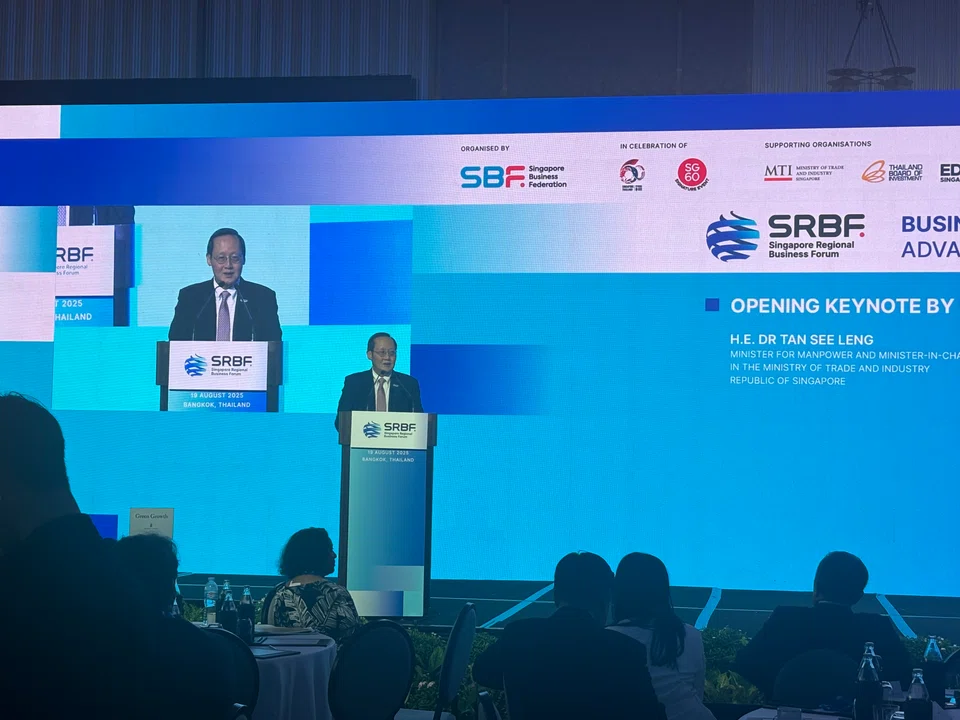 Minister for Manpower Tan See Leng noted that regional collaboration within Asean remains critical for stability and growth.