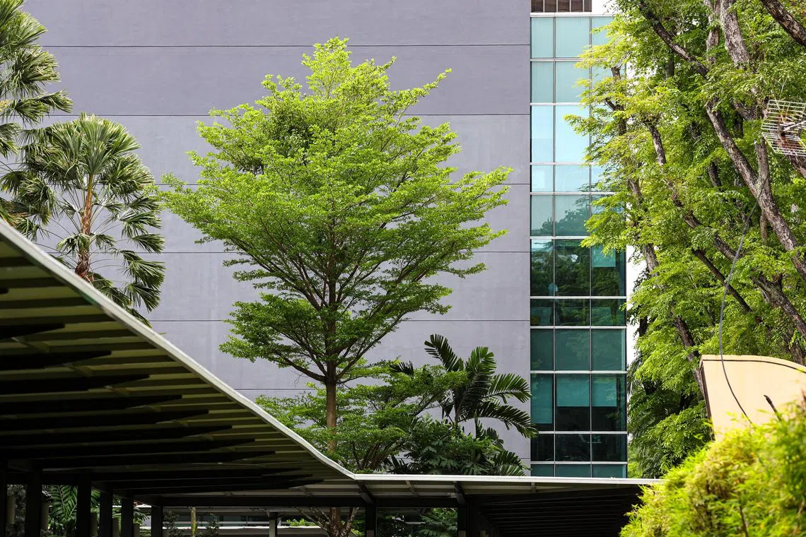 The sustainability of commercial buildings in Asia-Pacific is quickly transitioning from a “nice to have” to a “must have” – an essential component of the asset’s value.