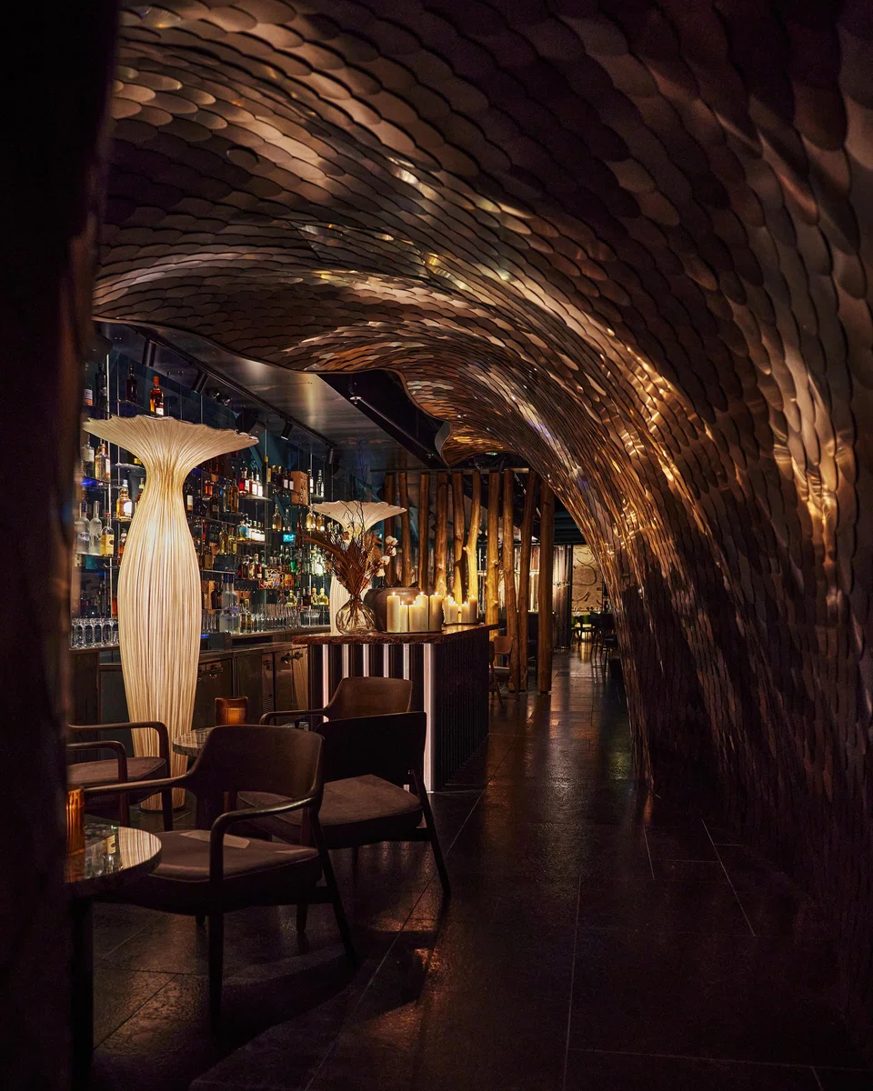 The tunnel-like foyer of Aniba.