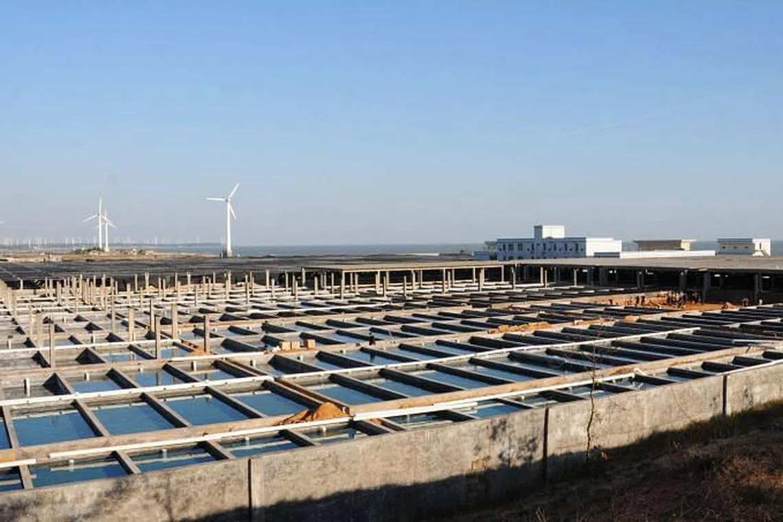 Oceanus announces placement, issue of convertible digital bonds to repay loans