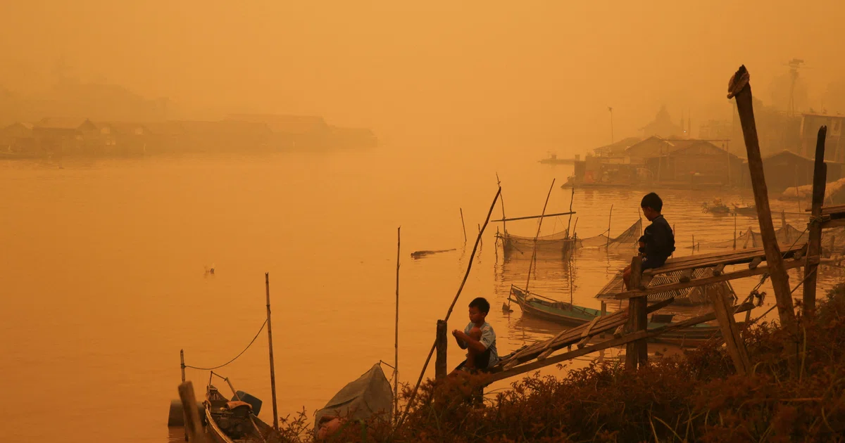 NEA issues notices to 10 Singapore-based companies, including Wilmar and APP, over haze