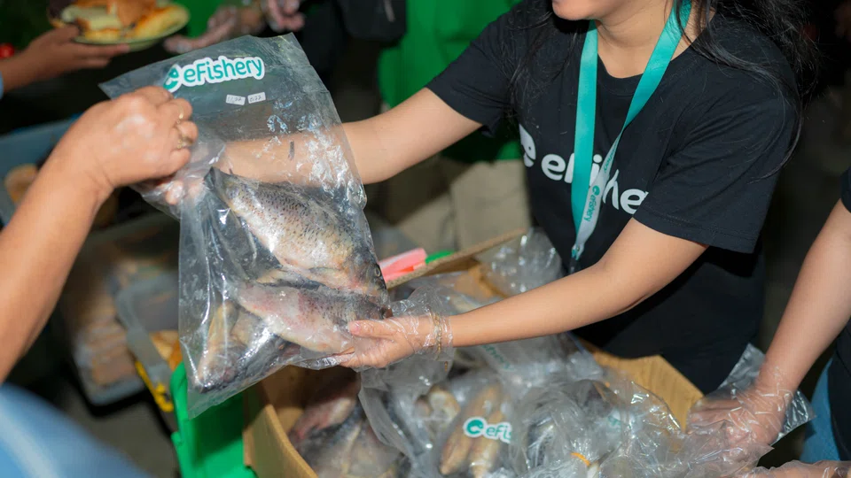 Indonesia’s aquaculture industry is expected to grow rapidly, with million of dollars funding poured into the ecosystem over the past three years.