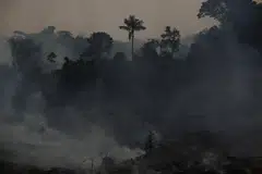 Heightened scrutiny over the environmental integrity of carbon markets and fears of “greenshaming” have stunted the growth of the voluntary carbon market.