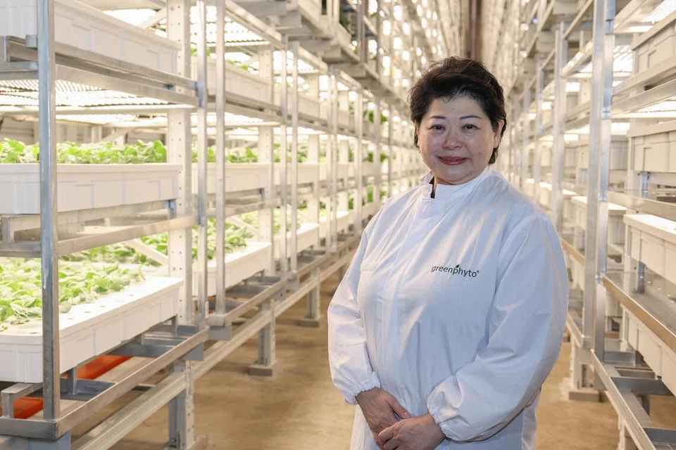 Susan Chong, founder of GreenPhyto, said the farm began as a community project she ran at her previous company.