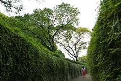 None of the Asian asset managers in WWF-Singapore's study have voting policies and expectations on investee companies on urgent issues, such as managing water risks, protecting oceans and ending deforestation.