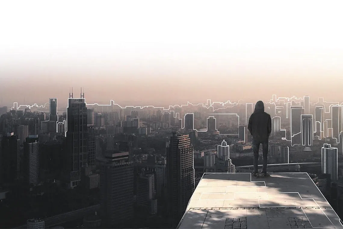 Entering a brave new world