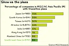 Only 8 per cent of South-east Asia’s investable listed companies have reported climate transition plans.