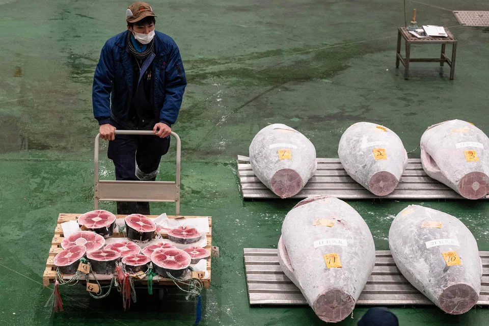  At this year’s annual Jan 1 auction, a bluefin tuna weighing 238 kilos sold for 114.2 million yen (S$969,215). 