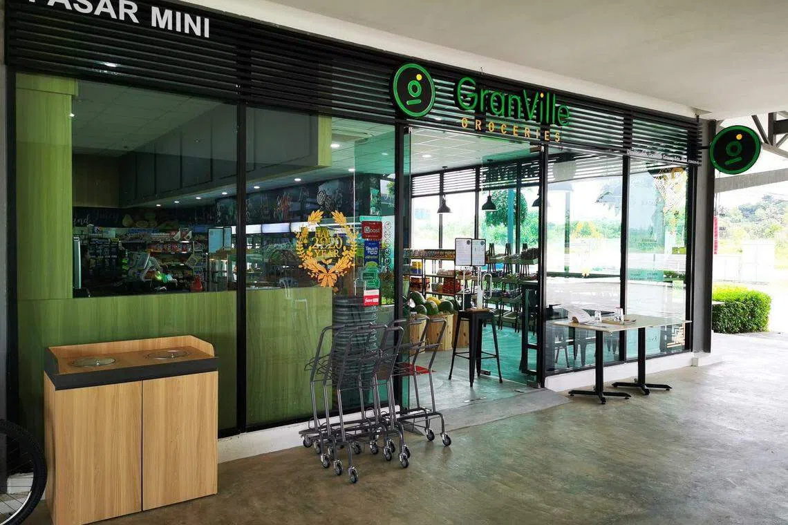 Is Mercurius finally on the right track by diversifying into grocery retailing?