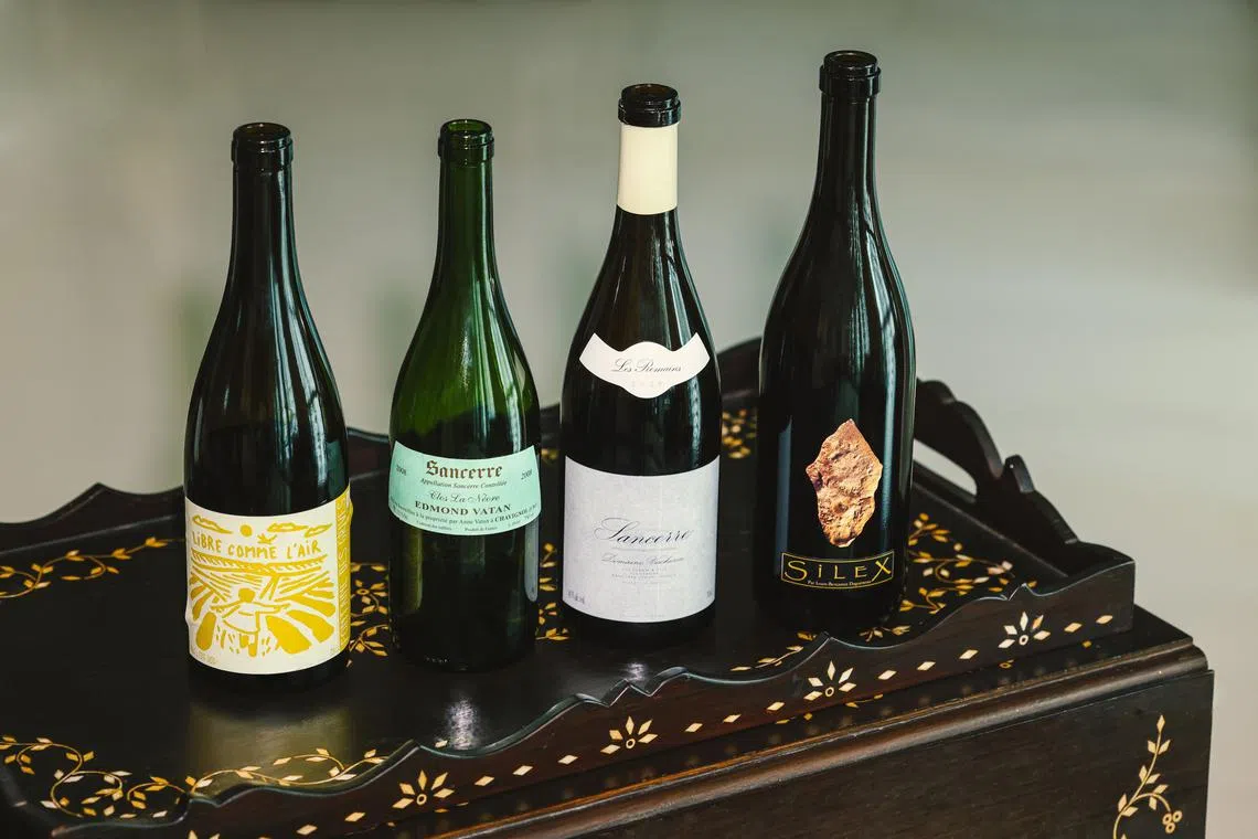 Sauvignon Blanc displays regional differences that offer a wide choice in the style of wine.