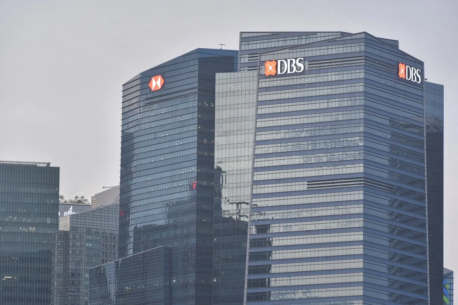 DBS sets up board sustainability committee - The Business Times