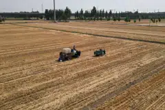 Record temperatures in major global growing regions have delayed planting and hurt developing crops as the impact of climate change intensifies.