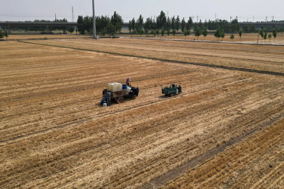 Record temperatures in major global growing regions have delayed planting and hurt developing crops as the impact of climate change intensifies.
