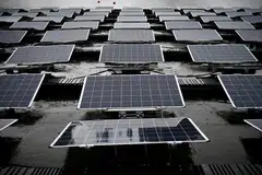 Nuveen's annual survey shows that 73% of the investors surveyed believe that traditional and renewable sources of energy are needed to meet near-term needs.