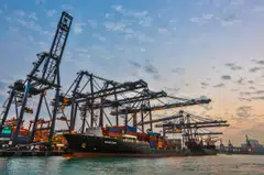 Hutchison Port Holdings Trust's Hong Kong terminals reported a fall in container throughput in the first half of 2024.