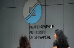 Companies that file their tax returns from software will receive an automatic 15-day extension of the due date to Dec 15.