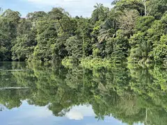 Ultimately, ensuring that carbon credits generated and sold are of high quality is what will eventually reverse the fortune of the market, market observers say. 