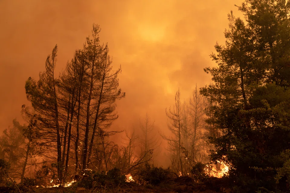 Air pollution is linked to around one percent of all cancer cases in Europe, and causes around two per cent of all cancer deaths, European Environment Agency said.