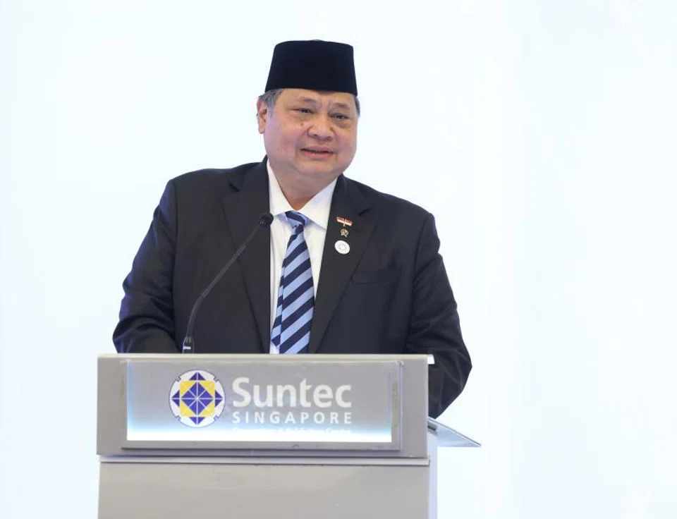 “The government has prepared mitigation measures so that ticket prices remain affordable to people,” says senior economic minister Airlangga Hartarto.