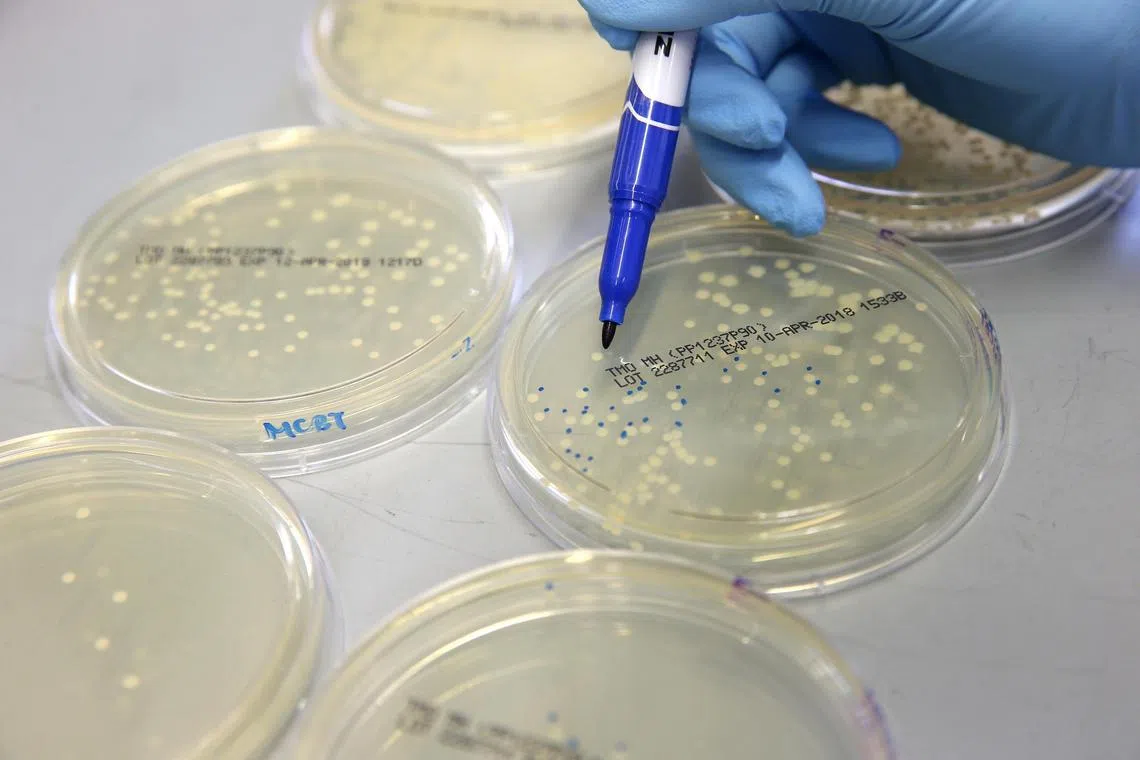 There is urgent need for new approaches to tackle antibiotic resistance and biofilms, particularly as no new classes of antibiotics have been discovered since the 1980s.