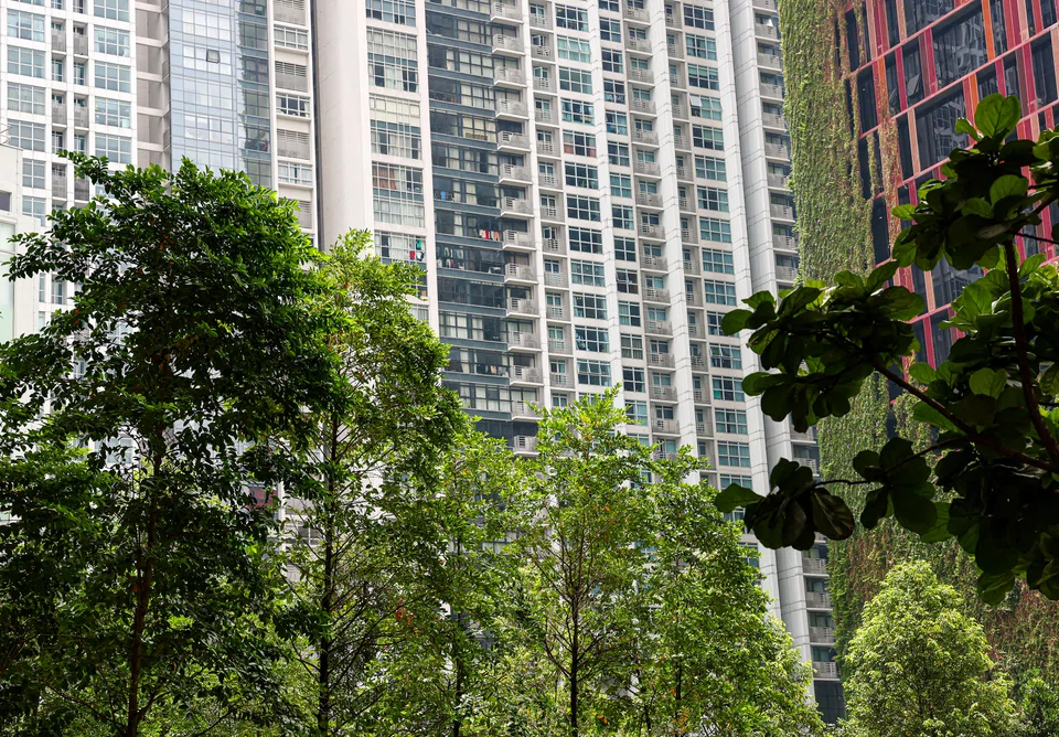 Singapore has identified the green economy as a key area where it can generate growth and leverage its position as a key Asian hub.