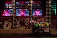 Despite its rapid growth, Thailand’s cannabis industry is in fact walking a political tightrope.