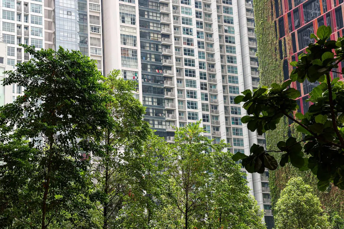 Singapore has identified the green economy as a key area where it can generate growth and leverage its position as a key Asian hub.