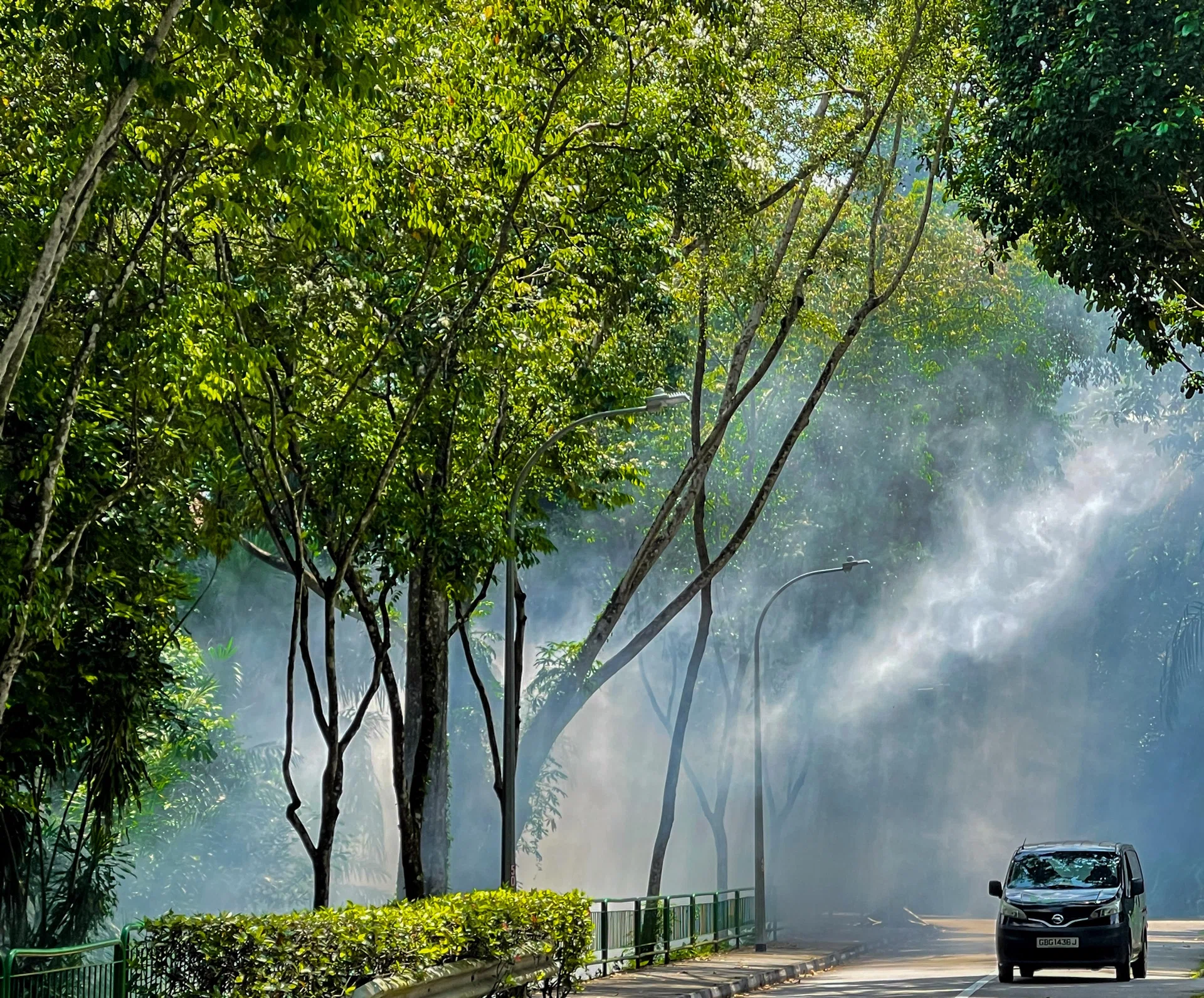 Singapore, Peru Open Applications for Projects to Generate Carbon C...
