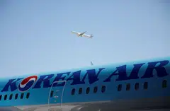 Korean Air is now in talks with several rivals and will likely clinch a deal with a Korean air cargo competitor to buy the assets.