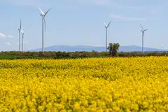 The growing need for climate solutions is generating emerging value pools across value chains, says the report by Boston Consulting Group and Temasek.