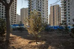 Trust firms pool money from wealthy clients and invest them in a variety of instruments and projects, offering higher returns than banks, and have been a key funding channel for LGFVs.