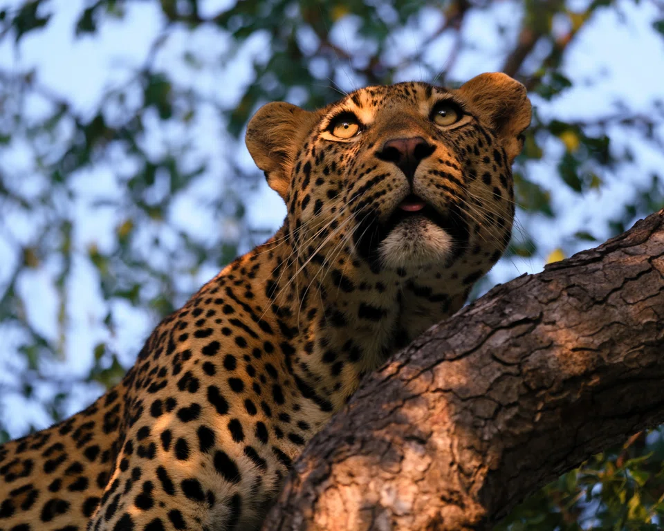 The ultra-wealthy can get up close and personal with all kinds of personalities. 