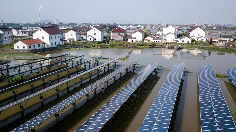 Renewables developers in China have contended with boom and bust conditions since they first came on the scene.