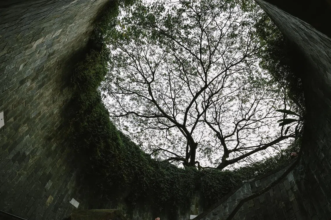 When it comes to achieving sustainability goals, business leaders (and not investment professionals) must take charge, with ESG considerations integrated as part of the business decision-making process.