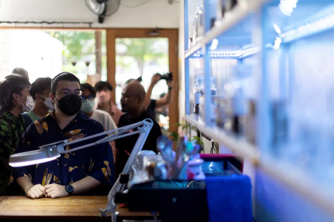 Customers queue up to buy cannabis at the Highland Cafe on the first day of it being removed from the narcotics list under Thai law in Bangkok, Thailand, June 9, 2022. 