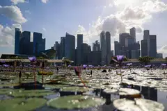 Despite the risks of AI, nearly half of the SMEs polled say that it had or will have a particularly positive impact on their productivity.