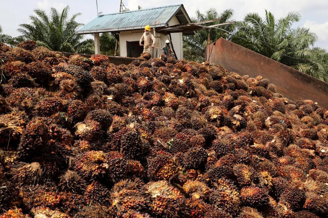 The Malaysian Palm Oil Board (MPOB) reported that exports to China fell 35.7% last year.