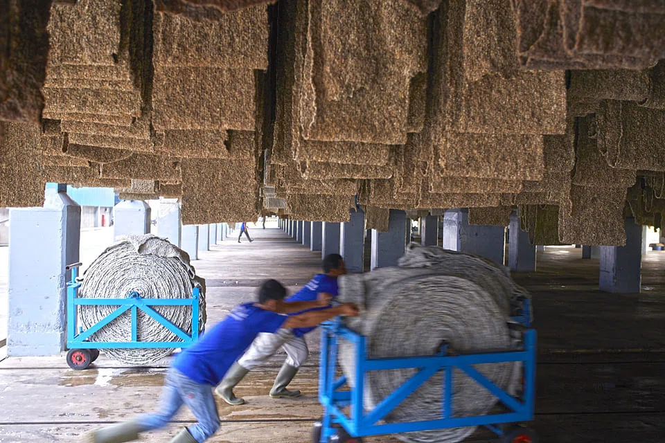 Halcyon Agri's Q1 revenue rises 20.5 per cent to US$592.9 million on the back of higher volume and prices.