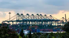 The jump in cargoes to Singapore come as Chinese biodiesel producers pledge to improve compliance and export standards after European rivals called for action to stem “potentially fraudulent” shipments.