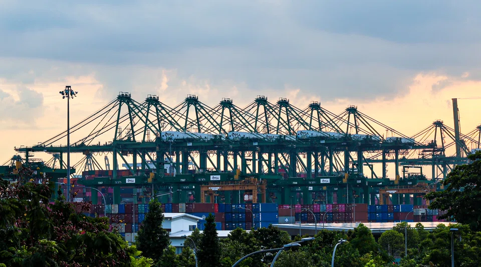 The jump in cargoes to Singapore come as Chinese biodiesel producers pledge to improve compliance and export standards after European rivals called for action to stem “potentially fraudulent” shipments.