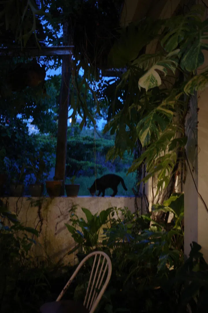 lunabar coffee penang