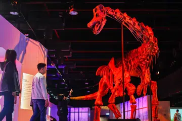 Dino Disco: The Last Dance - dinosaur rave at Science Centre Singapore