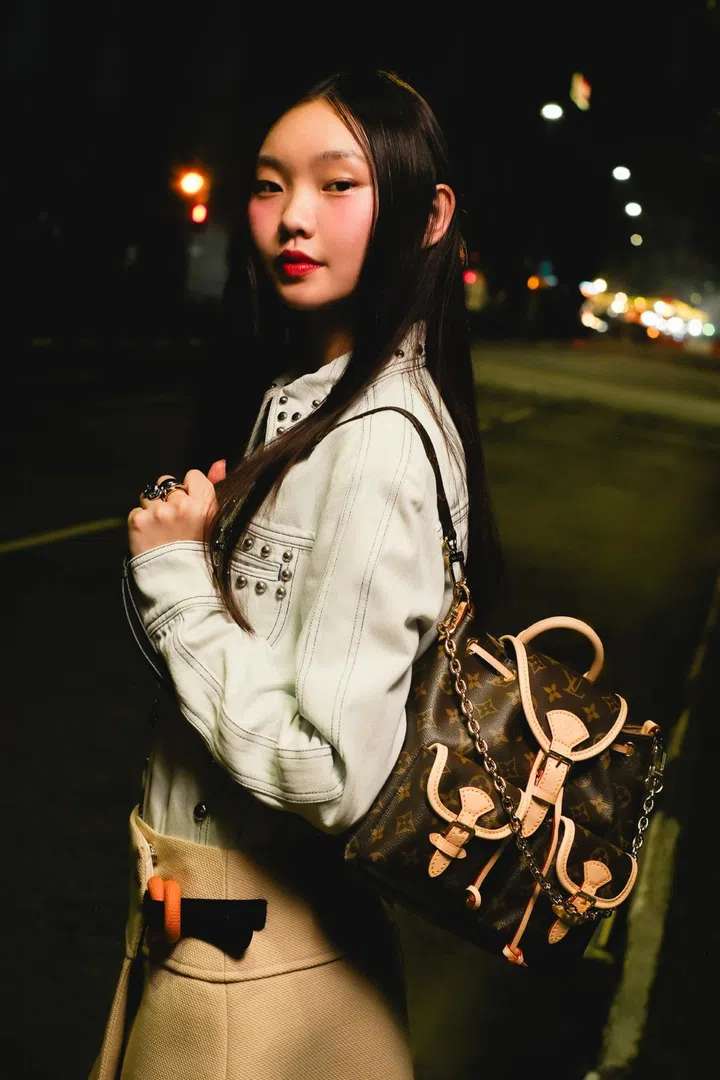 louis vuitton monogram