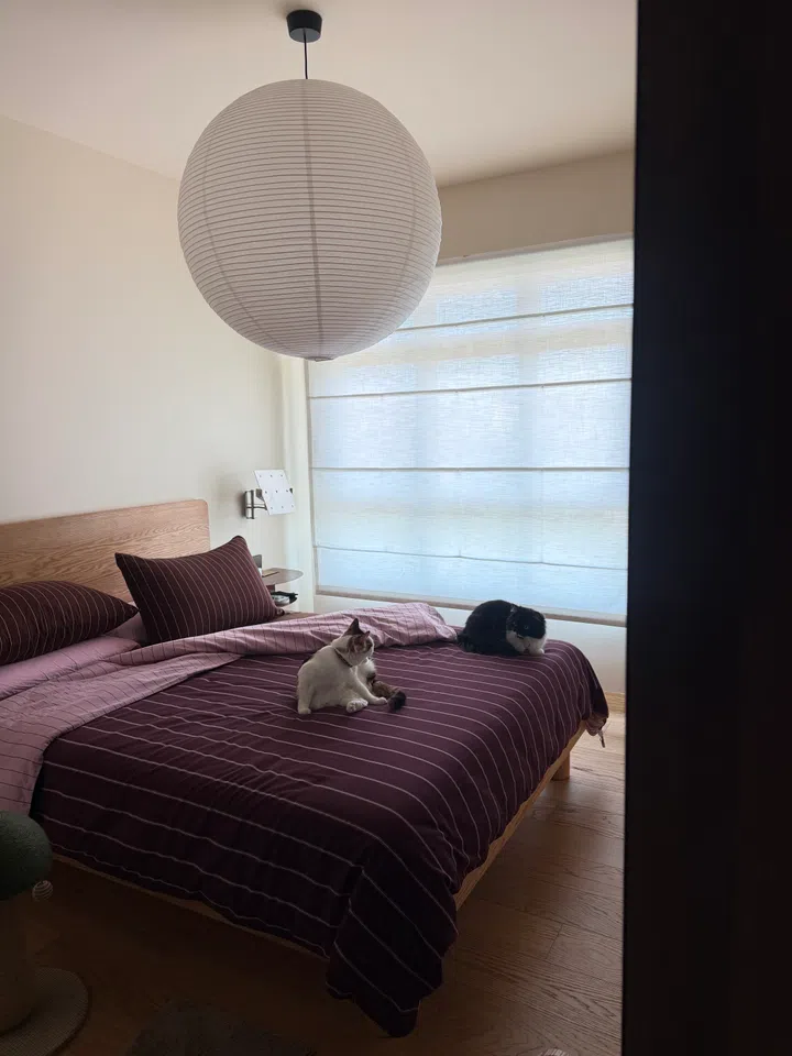 Advice on right time to apply for HDB BTO with partner