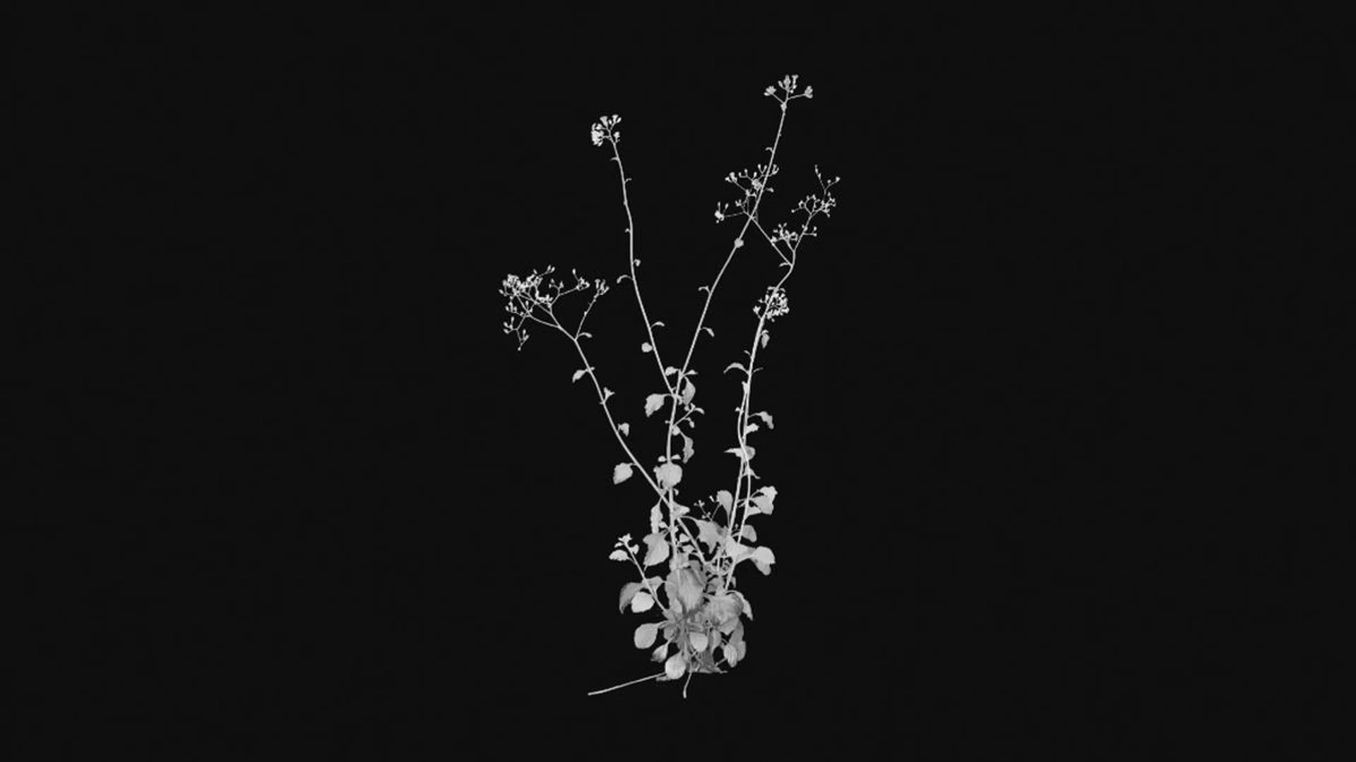 With more than 130 events, exhibitions, fairs and more going on, Singapore Art Week 2023 looks to create a major splash.  Among the buzz, it's easy to lose sight of smaller shows - here are some worth checking out. Credit: Robert Zhao Ren Hui