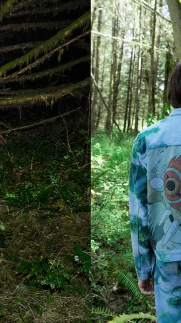 studio ghibli levi's