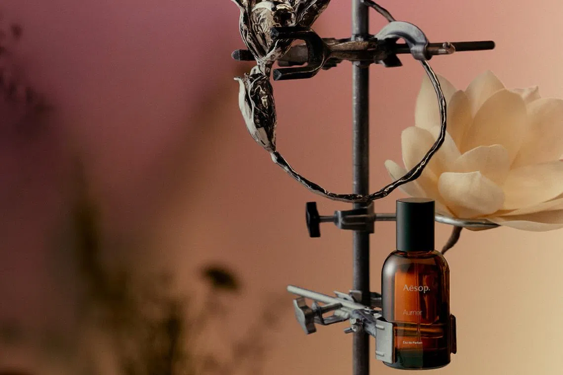 Aurner Eau de Parfum: Aesop's Latest Perfume Masterpiece | FZINE