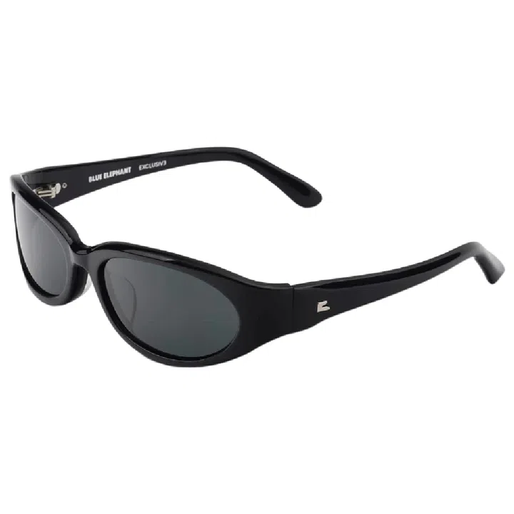 Blue Elephant nylon and acrylic sunglasses